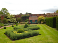 Give hedges a last trim